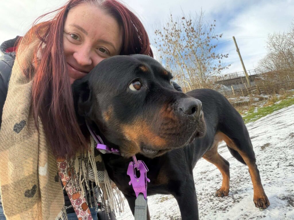 rottweiler